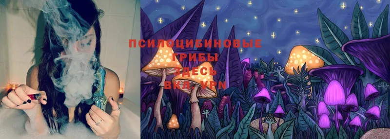 сайты даркнета какой сайт  Лангепас  Псилоцибиновые грибы Psilocybe 